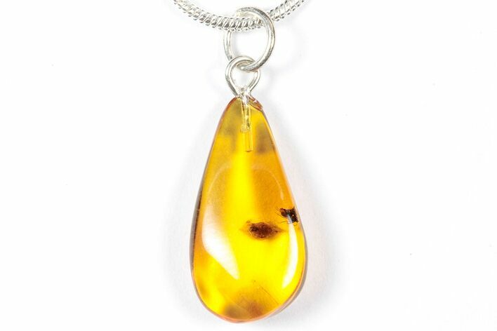 Polished Baltic Amber Pendant (Necklace) - Contains Fly! #357999